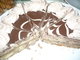 Vanilkovo-okoldov dort