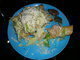 Hovz tacos