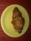Croissanty